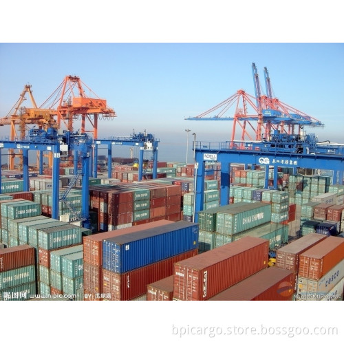 Logistic Service by Sea From China to Mumbai, New Delhi, Nhava Sheva, India